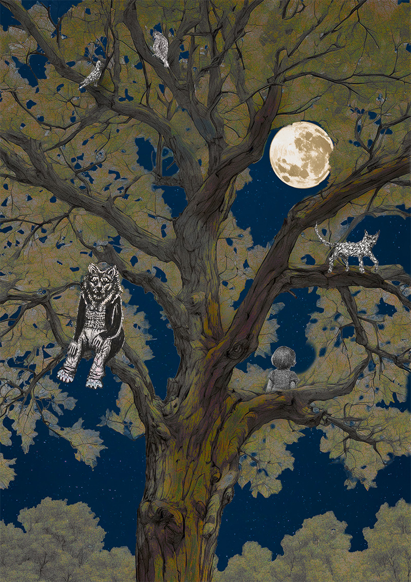 Dans mon arbre le soir